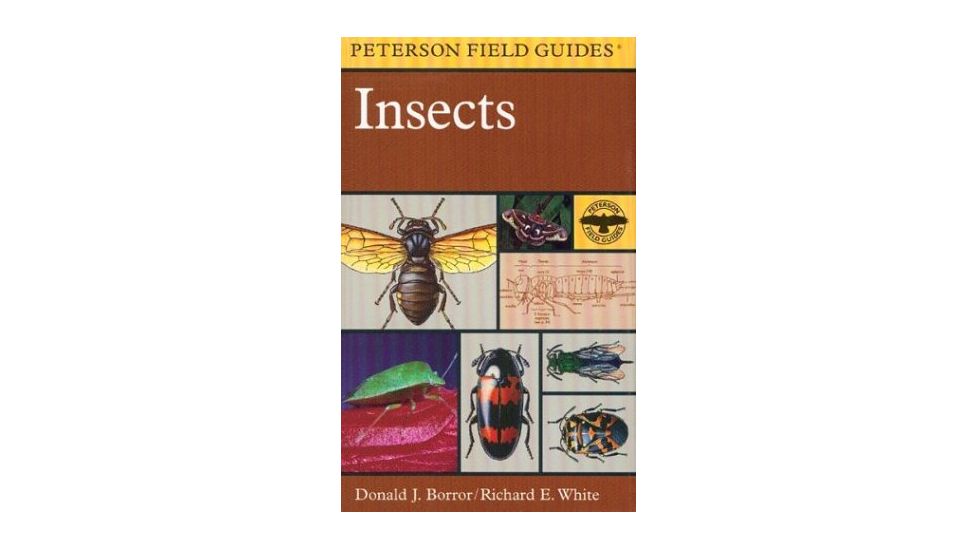 Field Guide To Insects, Peterson Field Guide, Publisher - Houghton Mifflin