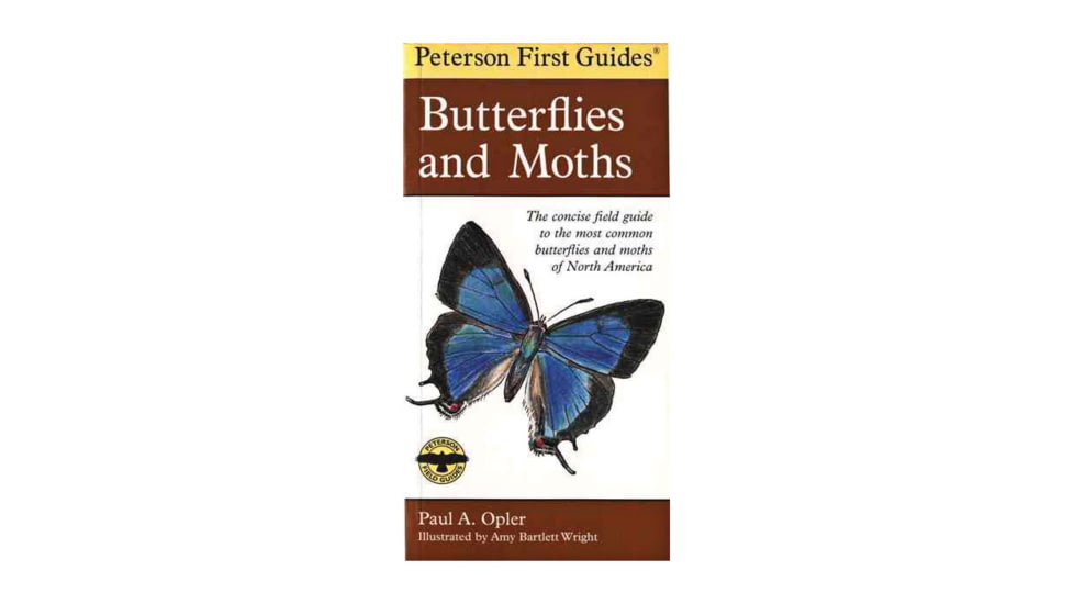 First Guide To Butterflies, Opler &amp; Peterson, Publisher - Houghton Mifflin