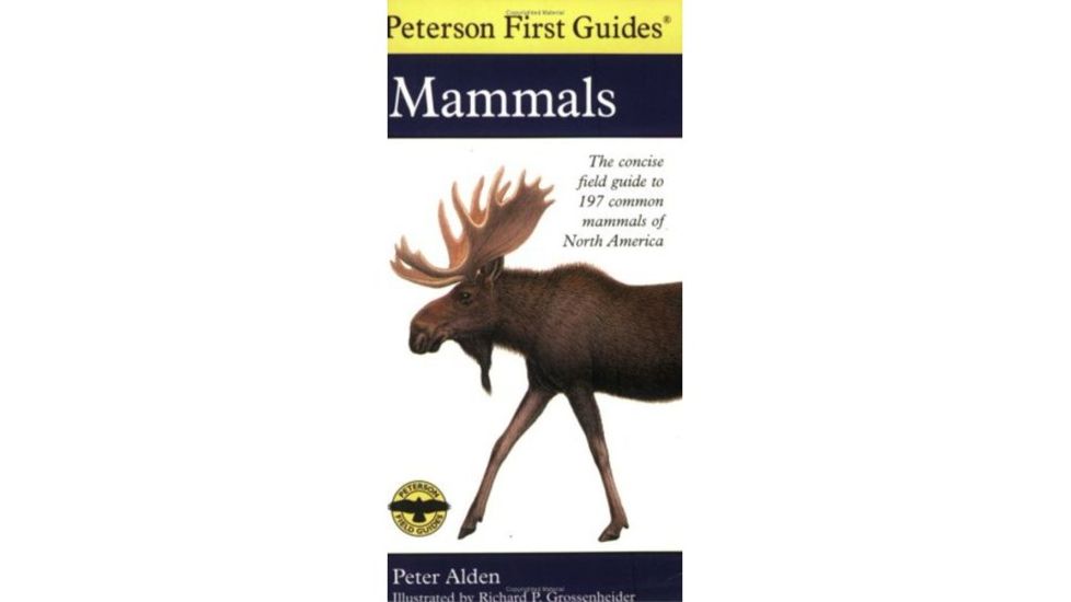 First Guide To Mammals Of N.a., Alden &amp; Peterson, Publisher - Houghton Mifflin