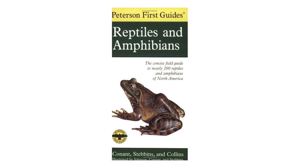 First Guide To Reptiles, Conant, Stebbins, Collins, Publisher - Houghton Mifflin