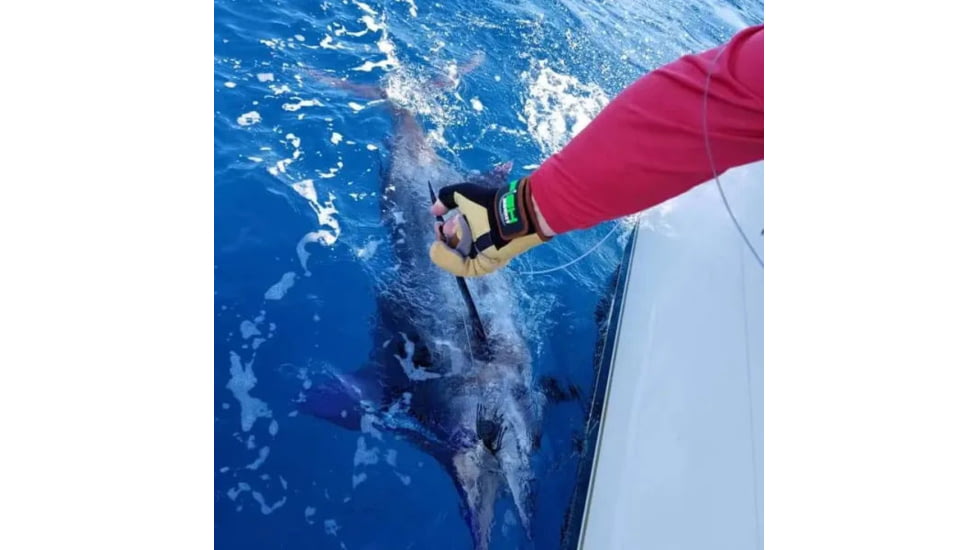 Fish Monkey Beast Master Heavy Weight Wiring Glove, Charles Perry Edition, L, FM14-CPEDITION-L