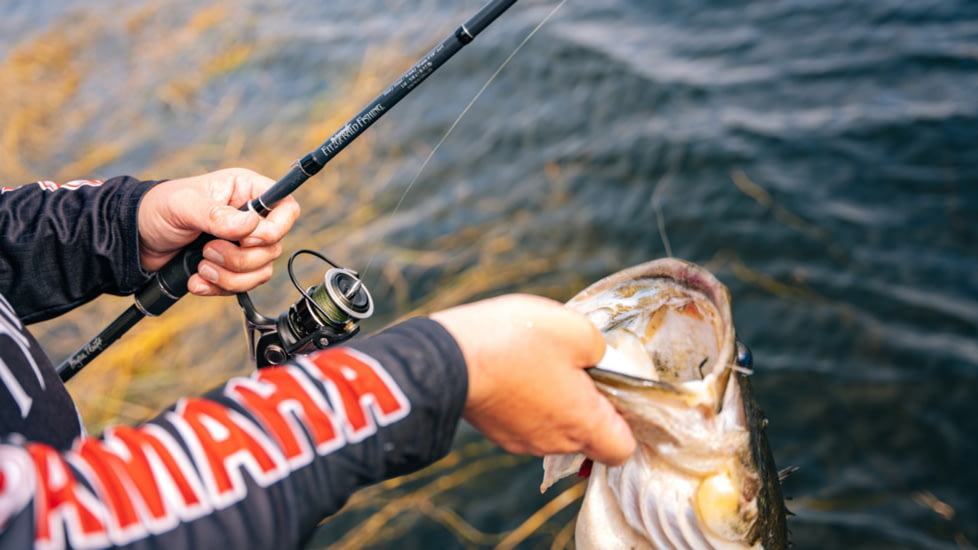 Fitzgerald Fishing Bryan Thrift The Crankbait Rods, Heavy, Black, 7ft4in, TCB74H