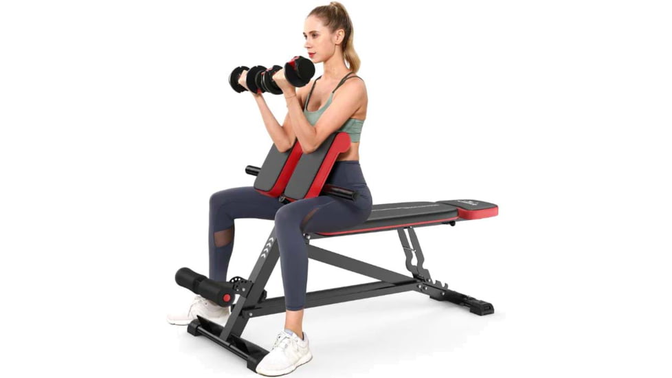 Flybird Fitness Multi Function Roman Chairs, 7888024502530