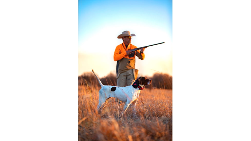 Garmin Alpha TT 25 Dog Collar, LED, 010-02447-20