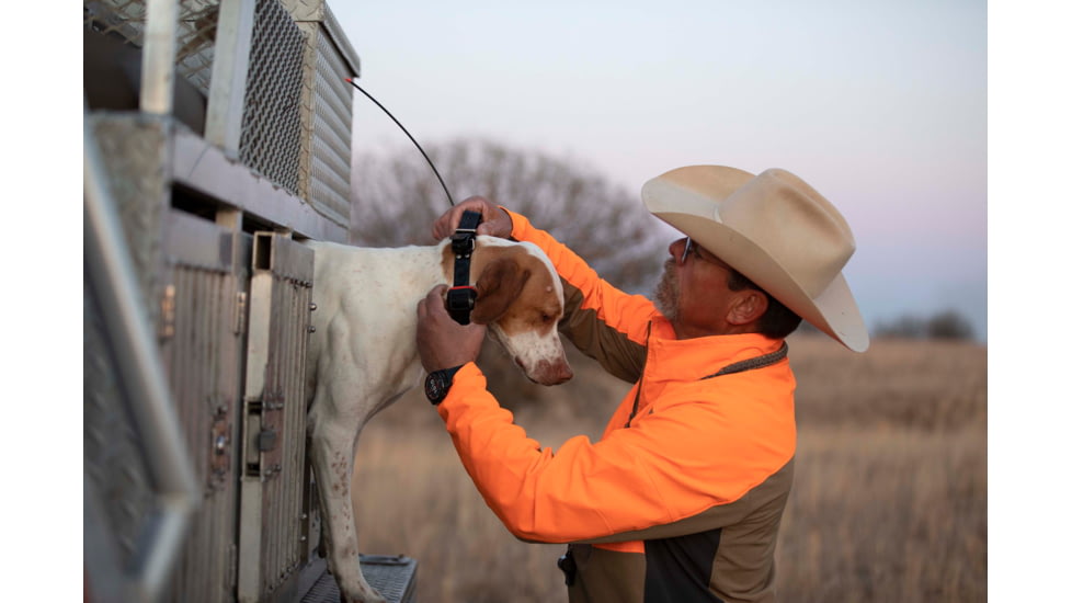 Garmin Alpha TT 25 Dog Collar, LED, 010-02447-20