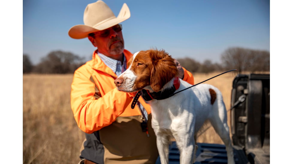 Garmin Alpha TT 25 Dog Collar, LED, 010-02447-20