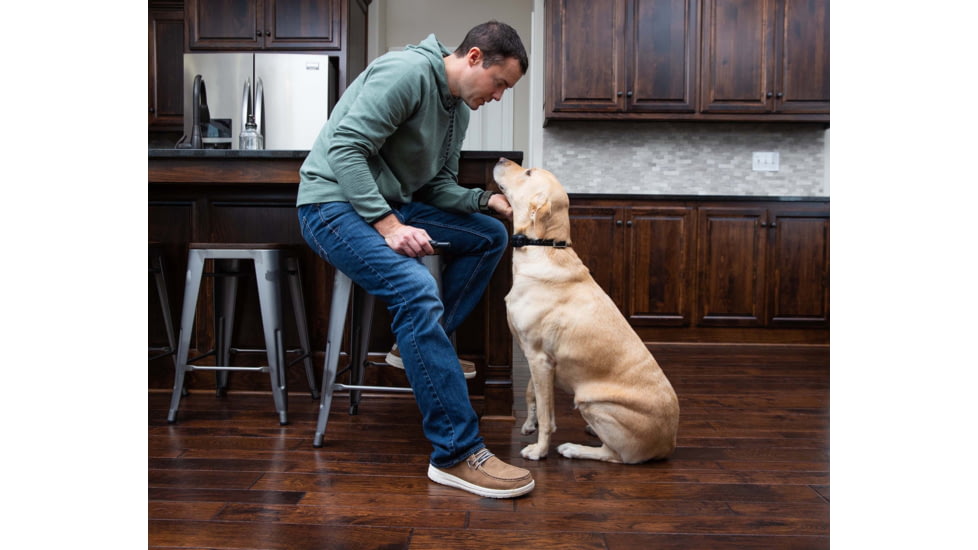 Garmin Delta SE Dog Collar Device, Black, 010-02608-10