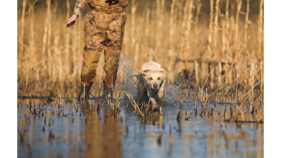 Garmin Delta SE Dog Collar Device, Black, 010-02608-10