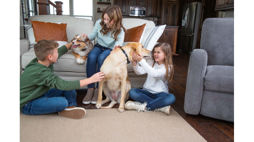 Garmin Delta SE Handheld, Black, 010-02608-50