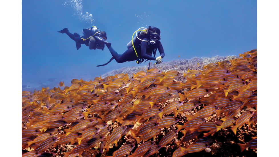 Garmin Descent G1 Dive Computer, Powdwer Gray, 010-02604-01