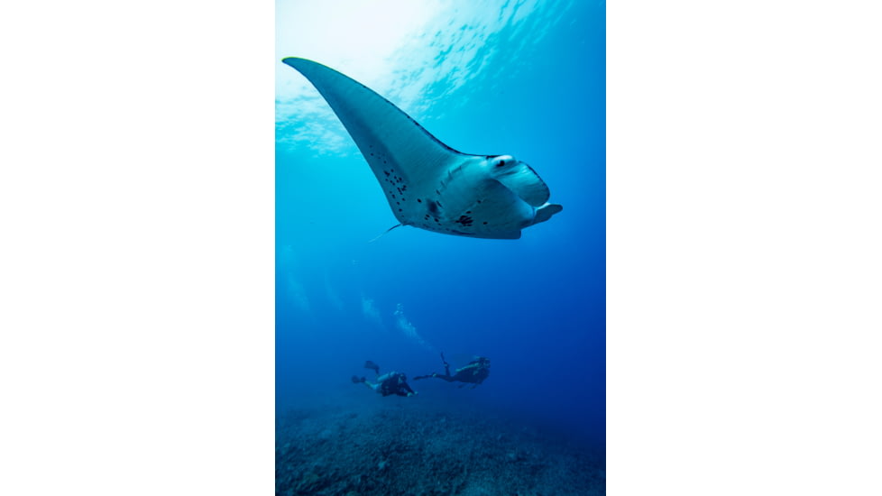 Garmin Descent T1 Tank Pod Transmitter, Black, 010-12811-00