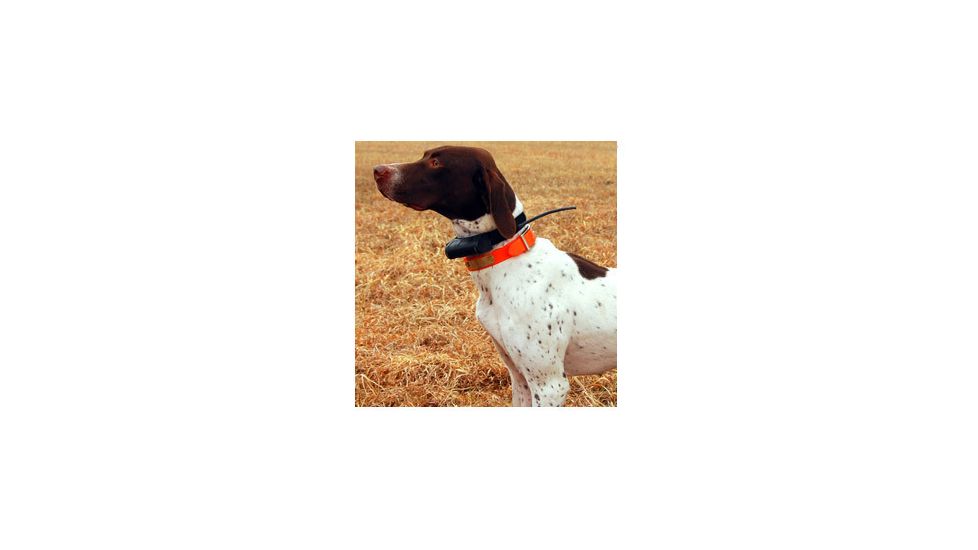 Garmin Dog Tracking Systems GPS Astro®