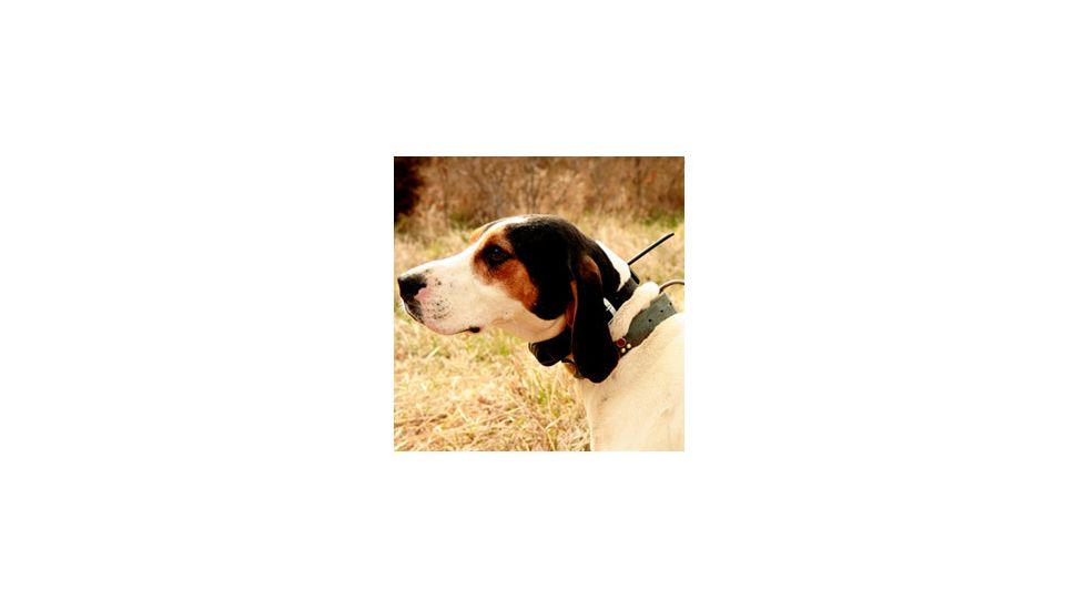 Garmin Dog Tracking Systems GPS Astro®