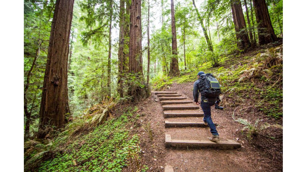 Goal Zero Nomad 7 Plus Sunpower Battery Charger with USB, 11806