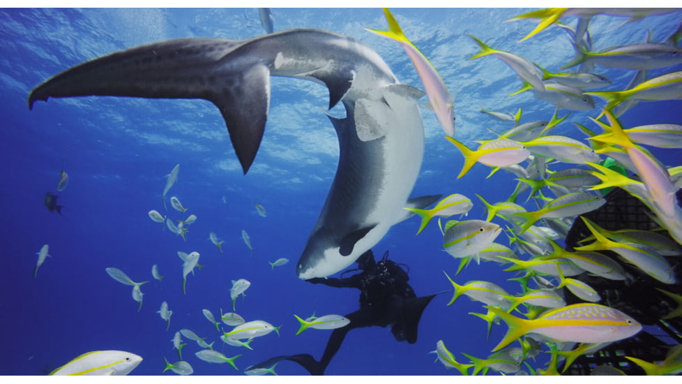 GoPro Super Suit for HERO7/HERO6/HERO5, Clear, AADIV-001