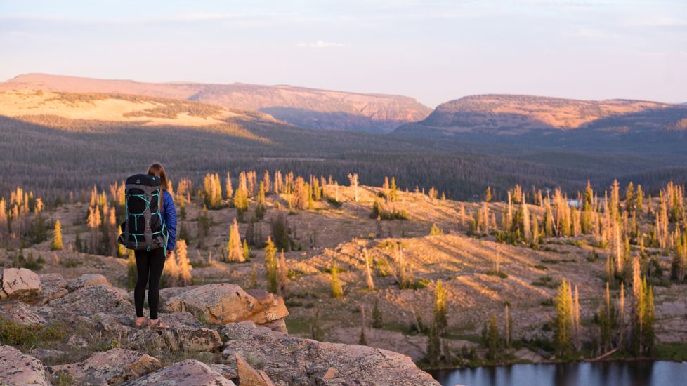 Granite Gear Blaze 60 Backpack - Womens, Black/Black Gingham/Teal, Short, 5000028-0014