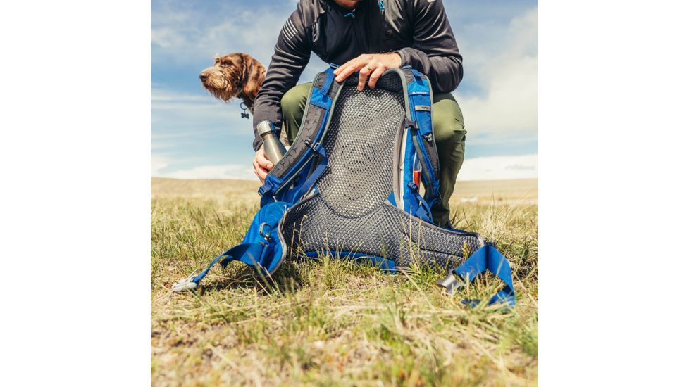 Gregory Citro 36 Daypack - Mens, Reflex Blue, 126881-0602