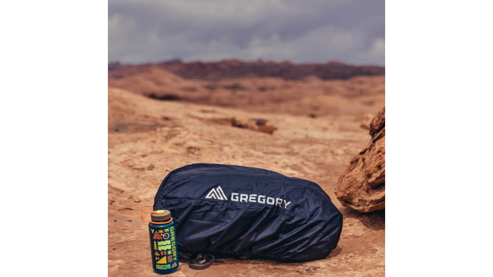 Gregory Raincover 30L Backpack