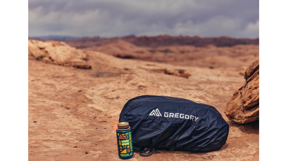 Gregory Raincover 30L Backpack