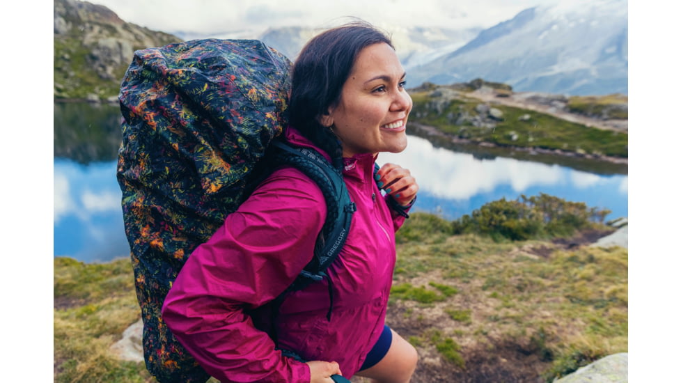 Gregory Raincover 30L Backpack