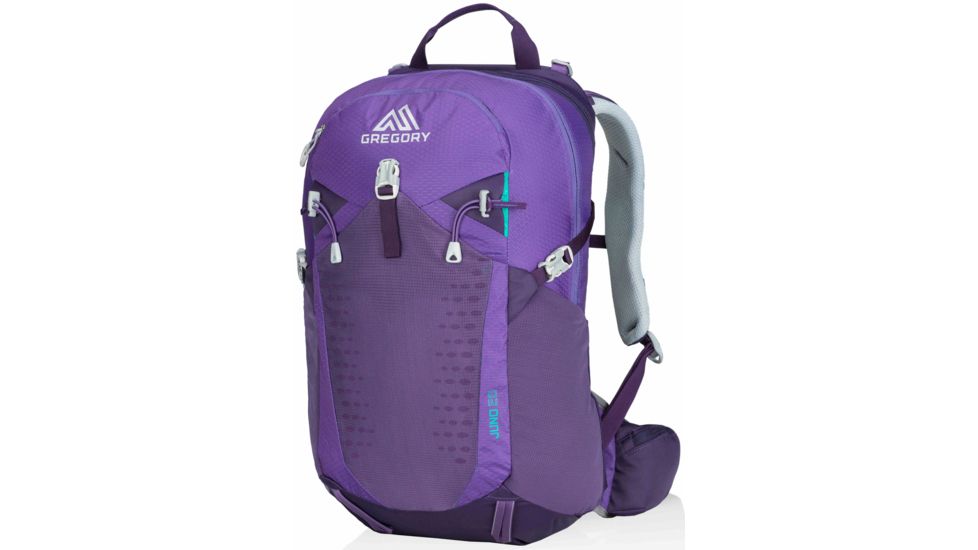Gregory Juno 20 Pack-Acai Purple
