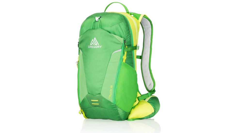 Gregory Miwok 18 L Backpack-Grass Green