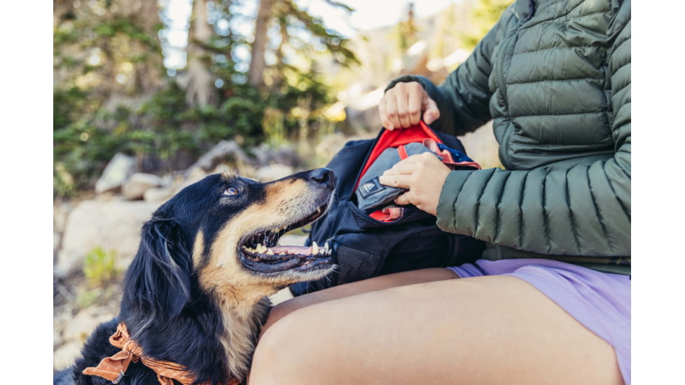 Gregory Nano 30L Backpacks, Blaze Green, One Size, 146838-9970