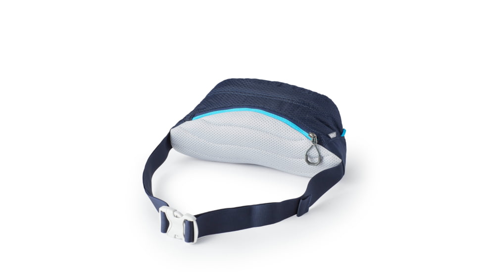 Gregory Nano Waistpack Lumbar Pack, Bright Navy, One Size, 126861-D243