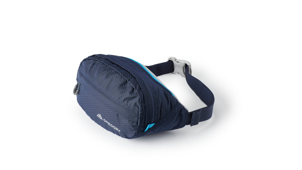 Gregory Nano Waistpack Lumbar Pack, Bright Navy, One Size, 126861-D243
