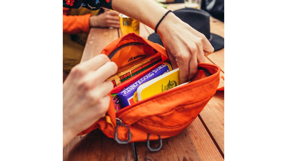 Gregory Nano Waistpack Lumbar Pack, Burnished Orange, 126861-4844