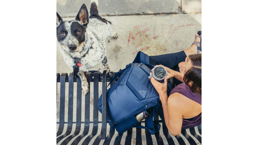 Gregory Resin RT 25L Pack, Deep Navy, One Size, 143366-D418