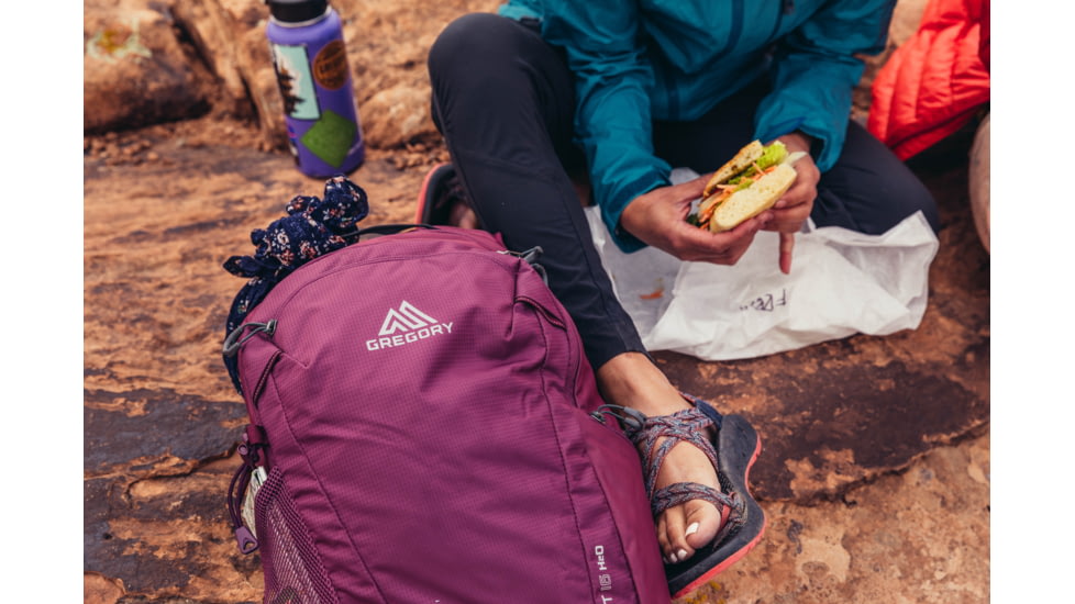 Gregory Swift 16L H2O Hydration Pack - Womens, Amethyst Purple, One Size, 141344-B170