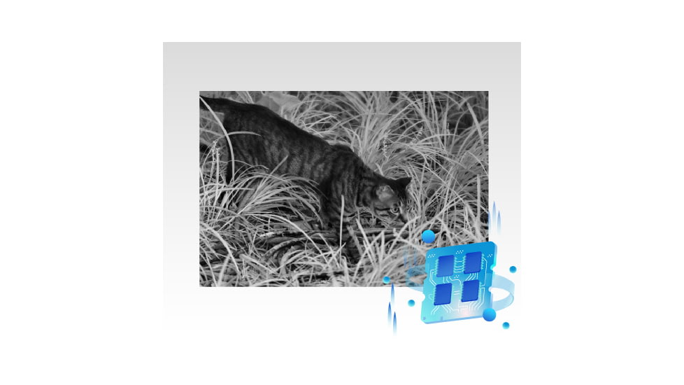 Guide Sensmart DN Series DN30 1.9-15.2x30mm Night Vision Binocular, 3840x2160, Black, DN30