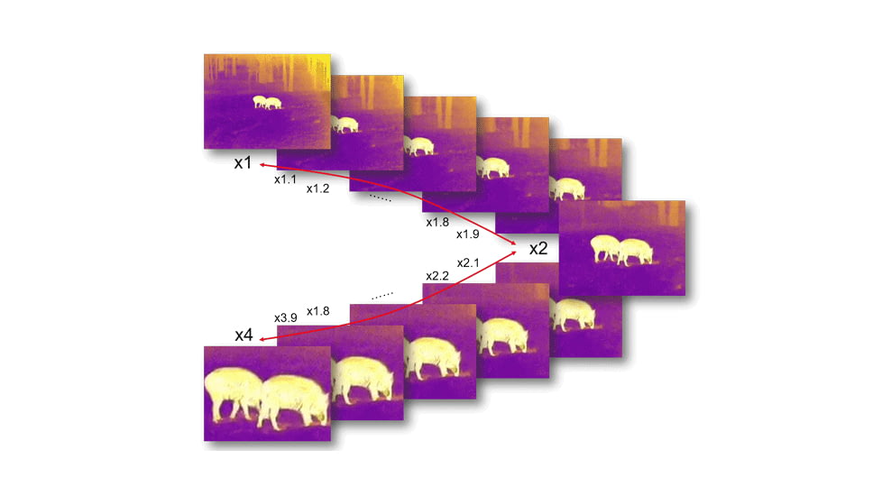 Guide Sensmart TN series LRF TN430 2.3-9.2x30mm Thermal Binocular, 400x300, Black, TN430LRF
