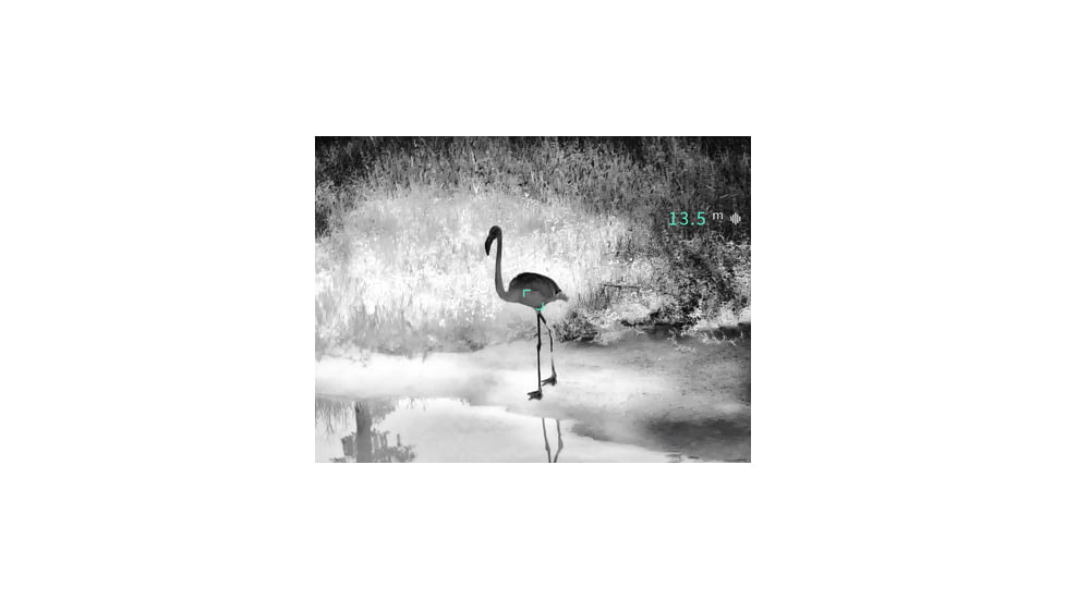 Guide Sensmart TN series LRF TN430 2.3-9.2x30mm Thermal Binocular, 400x300, Black, TN430LRF