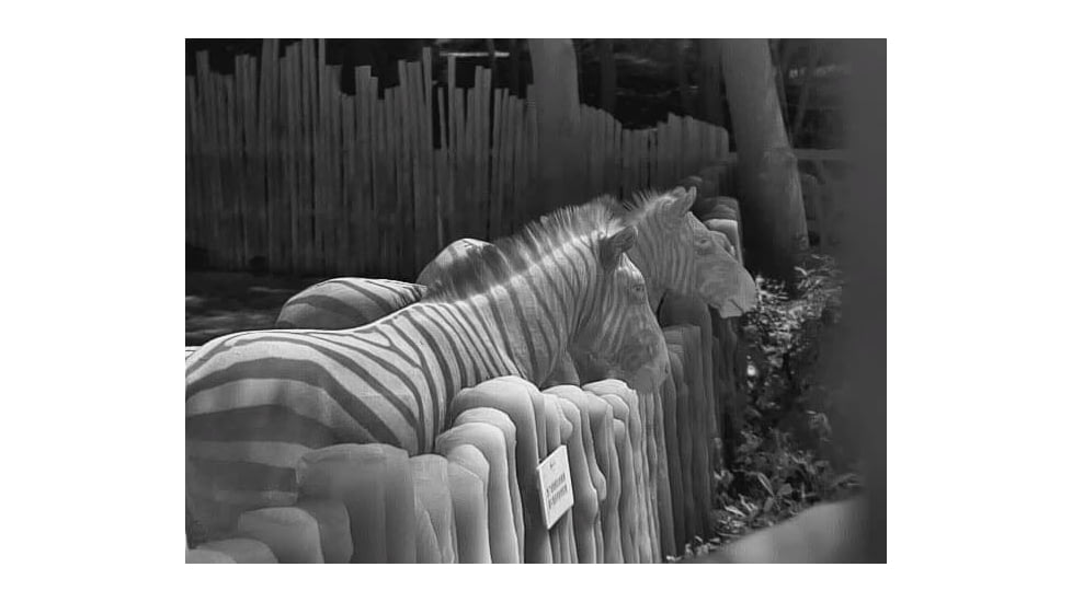 Guide Sensmart TN series LRF TN430 2.3-9.2x30mm Thermal Binocular, 400x300, Black, TN430LRF