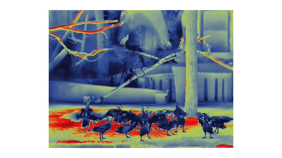 Guide Sensmart TN series LRF TN430 2.3-9.2x30mm Thermal Binocular, 400x300, Black, TN430LRF