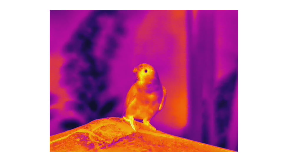 Guide Sensmart TN series LRF TN430 2.3-9.2x30mm Thermal Binocular, 400x300, Black, TN430LRF