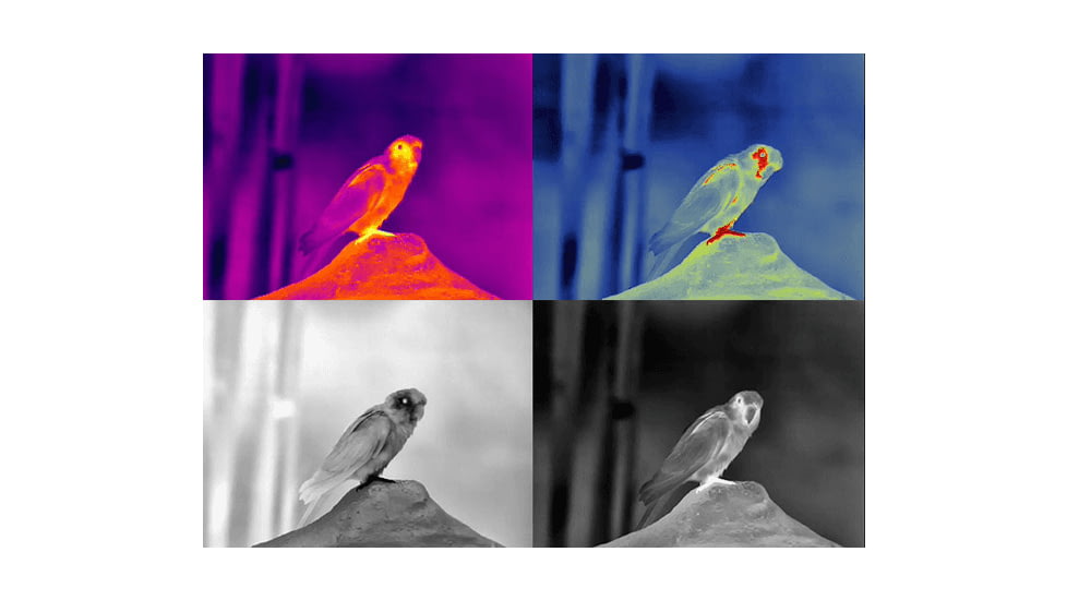 Guide Sensmart TN series LRF TN430 2.3-9.2x30mm Thermal Binocular, 400x300, Black, TN430LRF