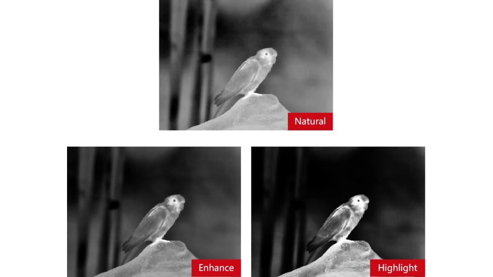 Guide Sensmart TN series LRF TN630 2.0-16x30mm Thermal Binocular, 640x480, Black, TN630LRF