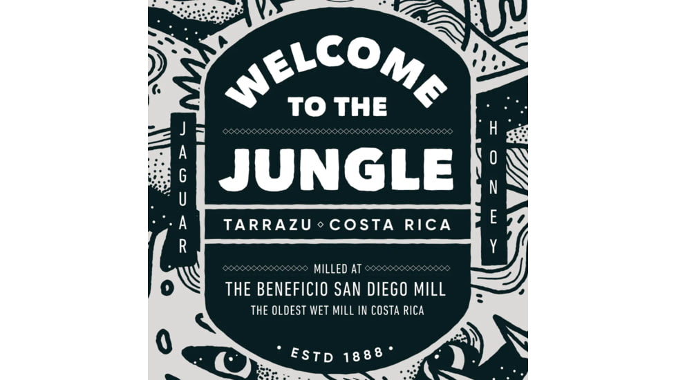 Hibear Artist Series w/ Welcome to the Jungle Coffee Holiday Bundles, art-sr-wlm-jgle-cof