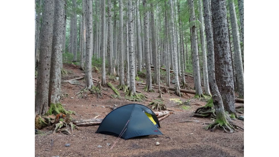 Hilleberg Rogen 2 Tent - 2 Person, 3 Season-Green