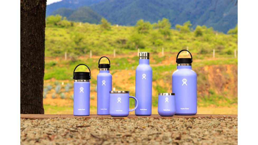 Hydro Flask 10 Oz Ceramic Wine Tumbler, Lupine, 10 oz, VC10CP474