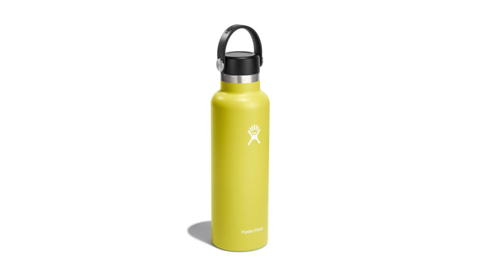 Hydro Flask 21 Oz Standard Flex Cap, Cactus, 21 oz, S21SX752