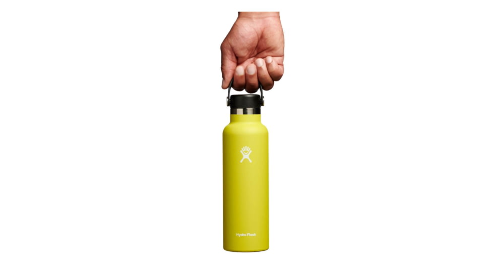 Hydro Flask 21 Oz Standard Flex Cap, Cactus, 21 oz, S21SX752