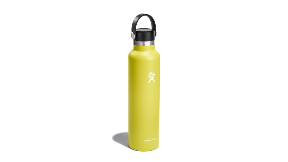 Hydro Flask 24 Oz Standard Flex Cap, Cactus, 24 oz, S24SX752