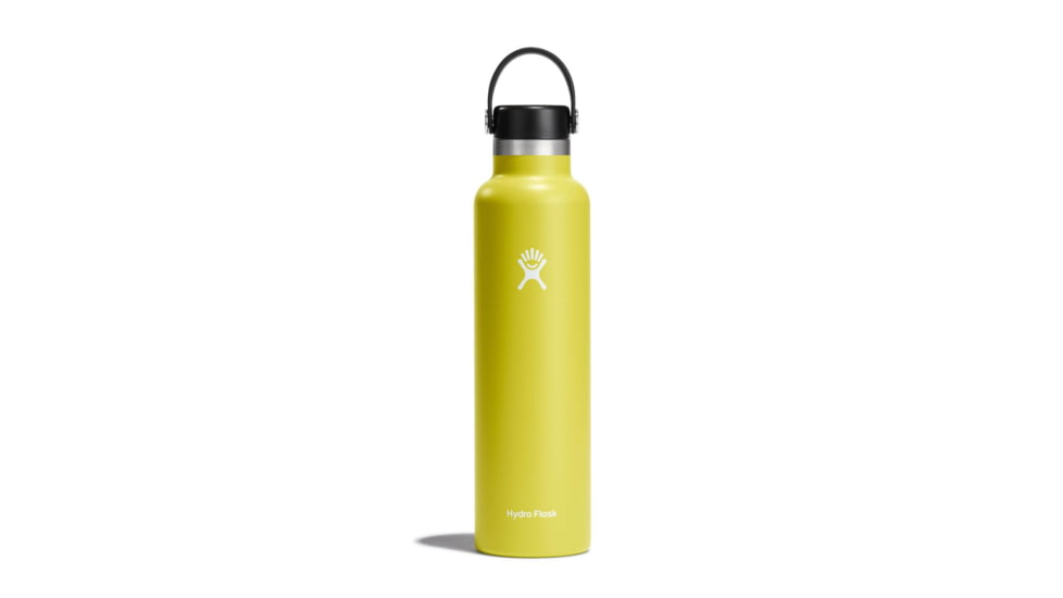 Hydro Flask 24 Oz Standard Flex Cap, Cactus, 24 oz, S24SX752