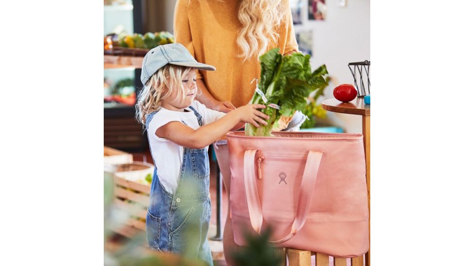 Hydro Flask Insulated 20L Tote, Blackberry, GT20005