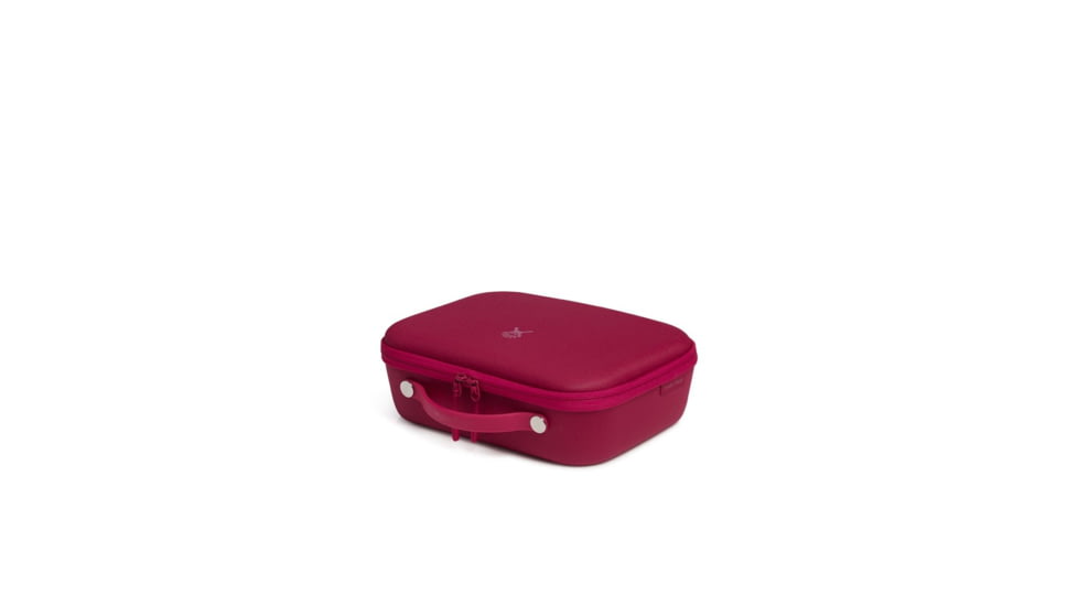 Hydro Flask Insulated Lunch Box, Large, Snapper, LBM604