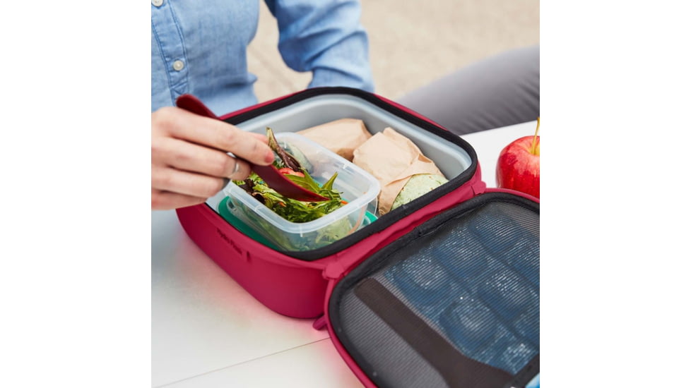 Hydro Flask Insulated Lunch Box, Small, Snapper, LBS604